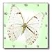 White n Soft Green Butterfly On Mint Green - 10x10 Wall Clock