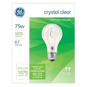 (24) GE 97468-24, 75-Watt A19 Crystal Clear Decorative Incandescent Light Bulbs, 24 PACK