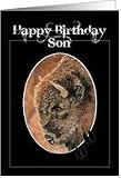 Birthday,Son, Buffalo, Bison, Nature, Animals West Collection Card