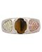 Black Hills Gold Men's Tiger Eye Ring