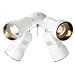 31YhivUzHEL. SL75  Year Round Ceiling Fans