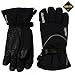 Swix Trekker GORE-TEX Glove Mens