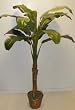 5' Silk Banana Tree