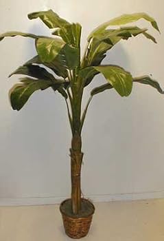 5' Silk Banana Tree