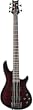 Schecter Hellraiser-5 5-String Electric Bass (Black Cherry)