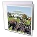 Edmond Hogge Jr Floral - Lincoln Park Conservatory - Greeting Cards-6 Greeting Cards with envelopes