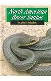 North American Racer Snakes (Snakes Discovery Library)
