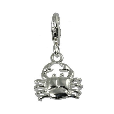 Silber Charm