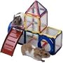 61323 CT PUZZLE PLAYGRD 42PC