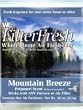 Filter Fresh Scented Filter Pads-2 Pack-Mountain Breeze