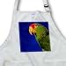 Birds - Green Cheeked Amazon Parrot - Aprons