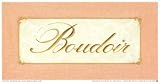 Boudoir Damask Categories Art Poster Print, 18x10