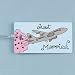 Just Married Luggage Tag