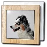 Review 3dRose LLC  / Australian Shephard - 6 Inch Tile Napkin Holder