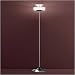 Aaron 1-Lt Floor Lamp, Crytl/Sat-Crytl