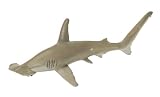 Hammerhead Shark