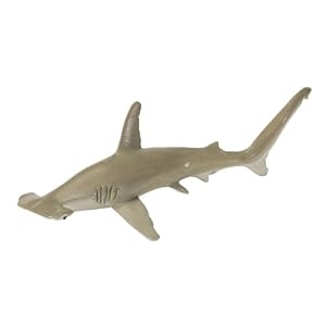 Hammerhead Shark by Safari