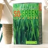 Review BSH  / So-Green Lawn Seed 500g