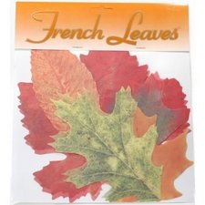 Sisson Imports French Leaves Assorted Pack of 20