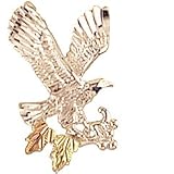 eagle lapel pins Sterling Silver Diamond cut Yellow gold Black Hills Gold Eagle ticking eagle lapel pins Sterling Silver Diamond cut Yellow gold Black Hills Gold Eagle ticking
