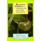 Amphibians & Reptiles of Yellowstone and Grand Teton National Parks