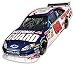 Nascar Dale Earnhardt Jr Self Stick Room Appliques