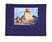 Dalite Fast-fold Velour Drapery Kits for Standard Frames With Skirt Bar But Without Case 62 X 108 Inch - Dalite 87332