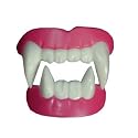 Halloween Teeth | Vampire Teeth