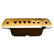 LR Baggs Active Magnetic Soundhole Pickup