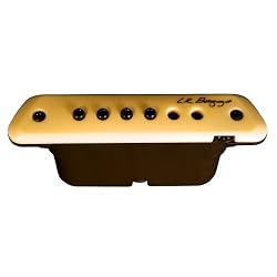 LR Baggs Active Magnetic Soundhole Pickup