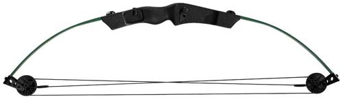 Compound Archery Bow