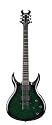 Schecter Devil Custom DGB