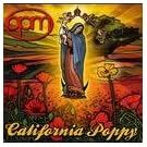 California Poppy