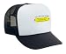 You're Only Alive Because My Greater Swiss Mountain Dog Thinks You're Cute! Adult Mesh Back Cap / Hat