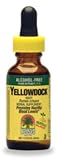 Yellowdock Root 2 fl. oz.