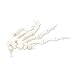 3B Scientific A40/2R Loosely Threaded Human Right Hand Skeleton