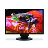 NEC MultiSync EA221WM-BK 22 inch 1680X1050 DVI 5MS SPK USB Wide LCD Black Monitor