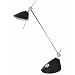Euro Halogen Desk Lamp in Black