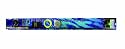 Shakespeare Freshwater Advanced Fly Combo - 9 Ft