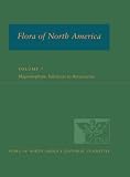 Flora of North America: North of Mexico, Magnoliophyta: Dilleniidae (Flora of North America: North of Mexico)