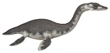 Plesiosaurus - Dinosaurs - PapoIMAGE