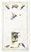 Kitchen & Housewares : Marjolin Bastin Bluebirds Blue Bird Kitchen Towels Set/2