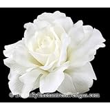 White-Ivory Mckenzie Rose Flower Hair Clip