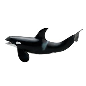 Killer Whale, Orca Marine Life Toy Model by Favorite Collection