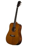 Great Divide SSD-V Dreadnought Acoustic Guitar