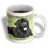 Dogs NewFoundLand - Newfoundland - Mugs