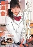 使い捨てM奴隷12 南波杏 [DVD]