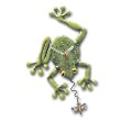 Frog Fly Wall Clock Allen Studio Designs
