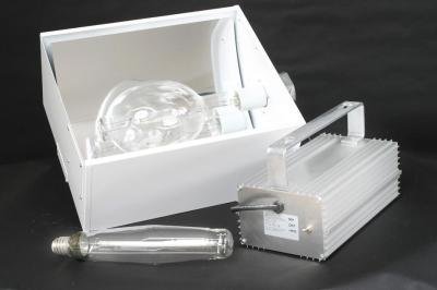 Two In One 1000W MH+HPS Switchable Grow Light System