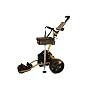 NFM Electric Remote Control Golf Cart (Gold Explorer 2009 Version)